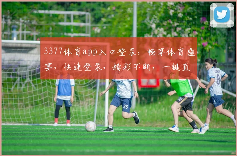 3377体育app入口登录，畅享体育盛宴，快速登录，精彩不断，一键直达，体验非凡