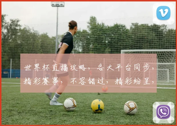 世界杯直播攻略，各大平台同步，精彩赛事，不容错过，精彩纷呈，尽享足球盛宴