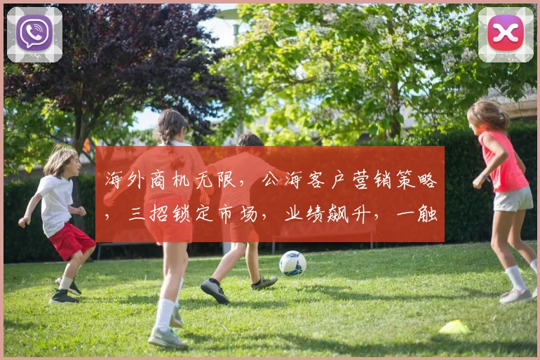 海外商机无限，公海客户营销策略，三招锁定市场，业绩飙升，一触即发，抢滩登陆
